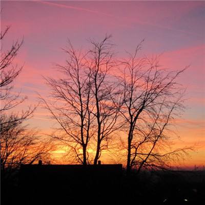 BOB体育最新版本下载